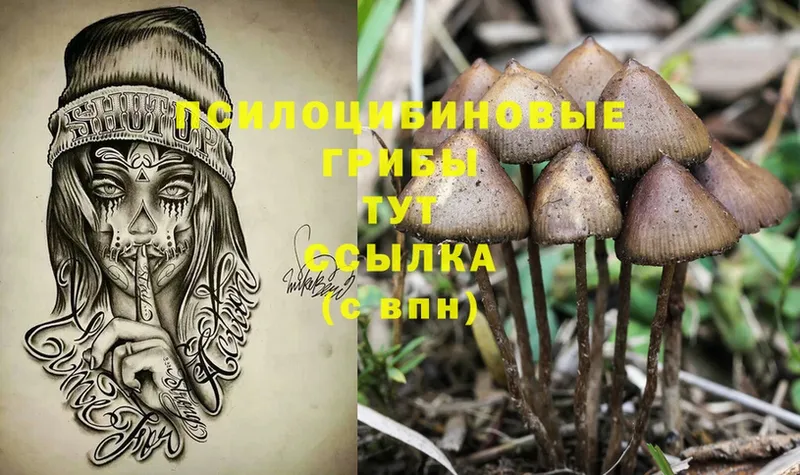 mega ONION  Маркс  Галлюциногенные грибы Psilocybine cubensis 